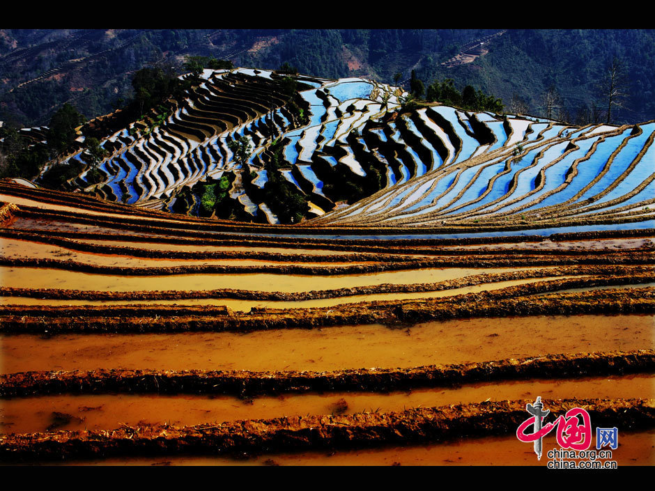 中國(guó)哈尼梯田成功列入世界遺產(chǎn)名錄
