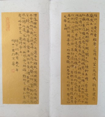 北京人文大學(xué)出了個(gè)天才書法家：胡中一
