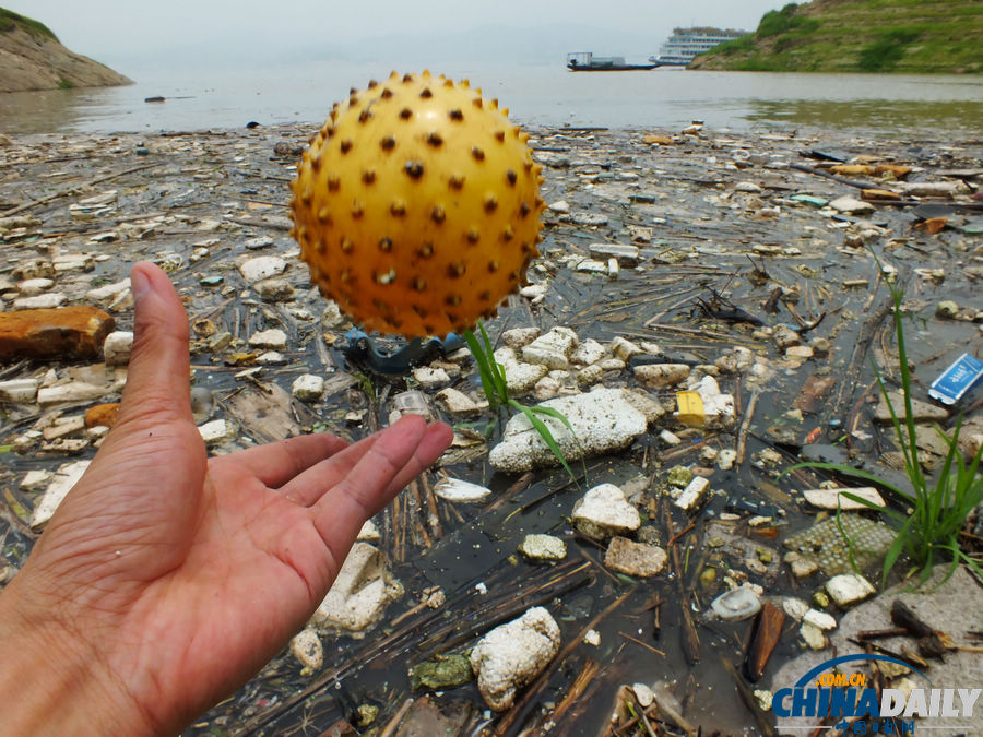 湖北宜昌：三峽水庫又現(xiàn)漂浮垃圾帶