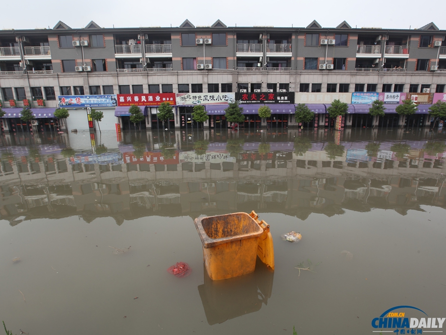 浙江桐鄉(xiāng)：臺風“菲特”過境 水災嚴重
