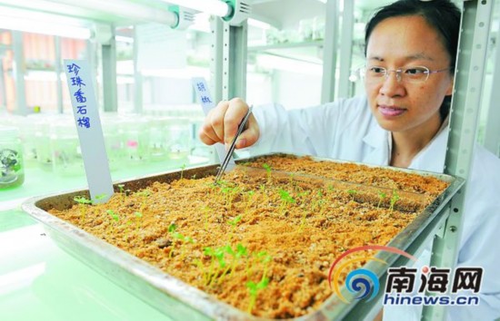 瓊海搭載神十