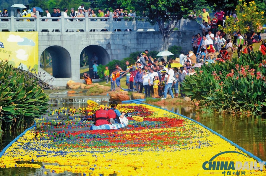 50000只五色小鴨深圳為愛(ài)漂流 壯觀場(chǎng)面引圍觀