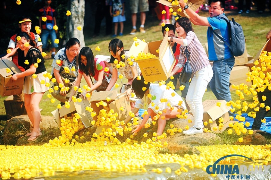 50000只五色小鴨深圳為愛(ài)漂流 壯觀場(chǎng)面引圍觀