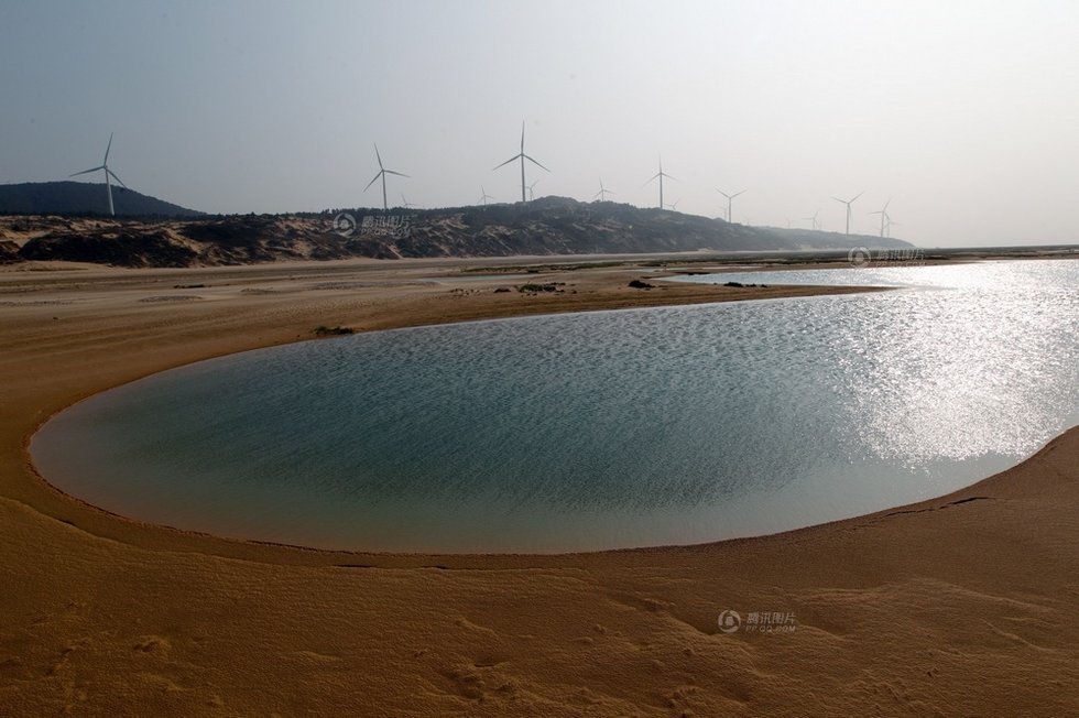 中國(guó)最大淡水湖提前枯水變成花海草原