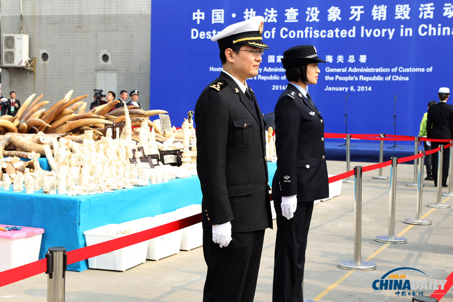 中國公開銷毀6.1噸執(zhí)法查沒象牙