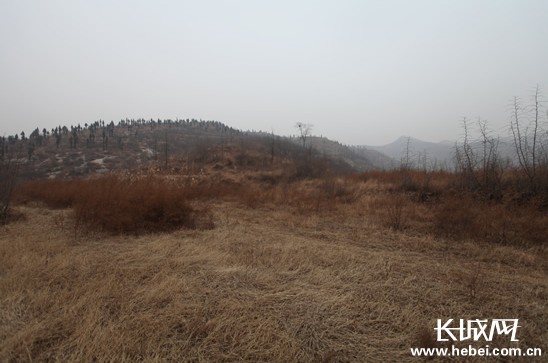 “無腿老兵”馬三?。簽樽訉O后代留下一片綠蔭