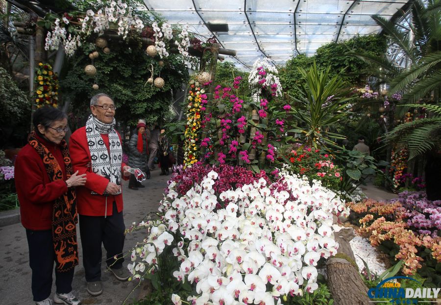北京植物園邀金婚老人過(guò)情人節(jié) 甜蜜“曬證”