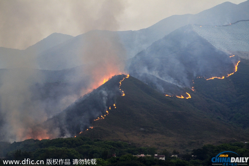 香港一山林突發(fā)大火 燒紅整座山濃煙隨風飄向深圳