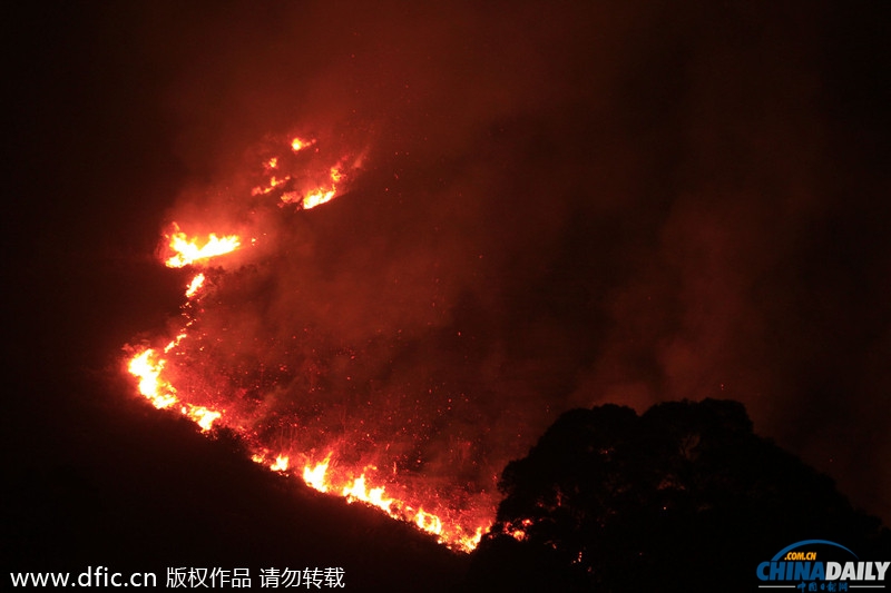 香港一山林突發(fā)大火 燒紅整座山濃煙隨風飄向深圳