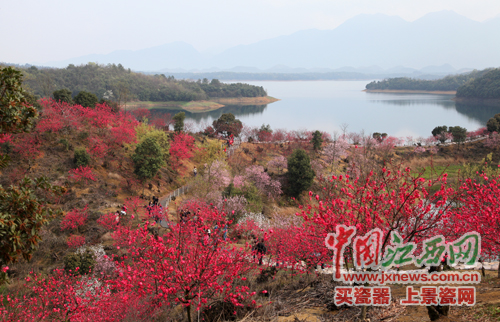 全國網(wǎng)絡(luò)媒體江西游首日 記者邂逅武寧“美女”