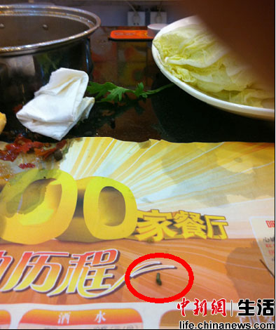 北京呷哺呷哺連鎖店吃出活蟲(chóng) 自稱(chēng)衛(wèi)生清潔第一