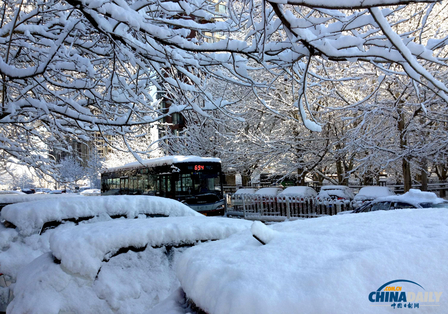 中國日報(bào)直擊北京三月春雪