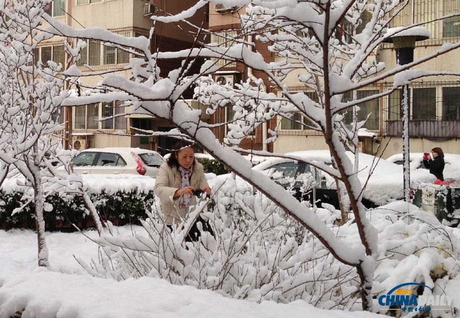 中國日報(bào)直擊北京三月春雪