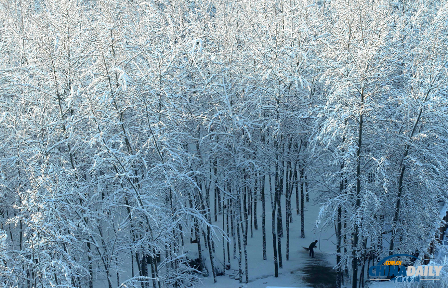 中國(guó)日?qǐng)?bào)直擊北京三月春雪