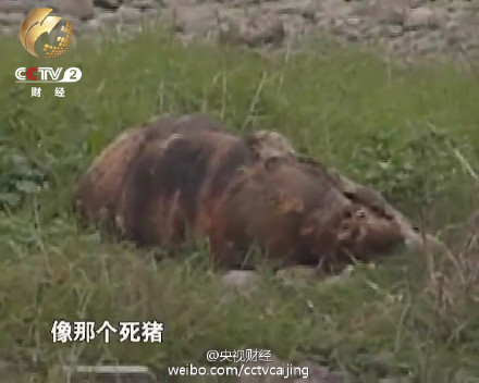 統(tǒng)計(jì)稱中國(guó)每年10億噸垃圾圍城 全世界數(shù)一數(shù)二