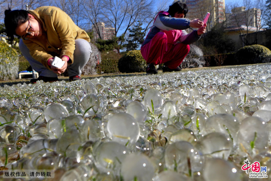 北京石景山一公園現(xiàn)罕見“冰世界”景觀