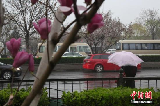 北京迎來今年首場春雨 致道路嚴(yán)重?fù)矶?/></p>

<p>　　3月31日，三月最后一天，北京迎來首場春雨。細(xì)雨濛濛，淅淅瀝瀝，把盛開的春花萬物的滋潤。 中新社發(fā) 劉憲國 攝 CNSPHOTO</p>

<p>中新網(wǎng)北京3月31日電 (記者尹力)3月的最后一天，北京迎來2015年的首場春雨，緩解了近期的干燥天氣。這場雨在“滋潤”京城的同時也大幅拉低了氣溫。由于降雨恰逢早高峰時段，春雨還導(dǎo)致北京今晨道路嚴(yán)重?fù)矶隆?/p>

<p>自去年入冬以來，北京僅經(jīng)歷了幾次降雪過程，此外再無有效降水。今年入春后，氣溫持續(xù)升高，早春的干燥令不少民眾盼雨心切。這場“貴如油”的春雨，讓全城都變得濕漉漉的，并在一定程度上改善了空氣質(zhì)量。</p>

<p>隨著小雨添寒，北京的最高氣溫驟降7度左右，由前段的溫暖宜人轉(zhuǎn)為有些陰冷，不少出行民眾重新穿上了羽絨服或是棉衣。這場降雨過后，預(yù)計未來幾天的氣溫將持續(xù)低迷，直至周末才會重新回暖。</p>

<p>當(dāng)日，由于降雨時段恰逢早高峰，水氣蒙蒙導(dǎo)致大部分路段能見度僅在2公里左右，加上雨后路面濕滑，使得北京全城路段嚴(yán)重?fù)矶?，交通指?shù)一度高達(dá)8.9，平均速度降至19.7公里/小時。</p>

<p>近段時間，浮塵、霧霾、沙塵輪番來京添亂，天空往往是一股灰黃之色。氣象專家表示，此次降雨有利于降低北京森林火險等級，改善土壤墑情。由于本次降雨的雨量不大，對沙塵和霧霾的作用有限，空氣質(zhì)量想要真正好轉(zhuǎn)還需等待雨后北風(fēng)到來。</p>

<p>31日10時，北京的空氣質(zhì)量實(shí)況圖顯示，全城35個監(jiān)測站點(diǎn)中，大多仍顯示為代表警示性的紫色，有26個站點(diǎn)的PM2.5實(shí)時濃度達(dá)到重度污染水平。</p>

<p>北京市環(huán)保監(jiān)測中心表示，目前PM2.5濃度較高，預(yù)計白天在冷空氣作用下，雨后擴(kuò)散條件有所好轉(zhuǎn)，污染物濃度將逐漸下降，空氣質(zhì)量將回歸二級“良”。</p>

<p>當(dāng)日，北京市氣象臺發(fā)布信息顯示，31日2時至8時，北京地區(qū)全市平均降水量0.5毫米，城區(qū)平均0.6毫米。</p>
</p>
</div>
</div>

<div   class=