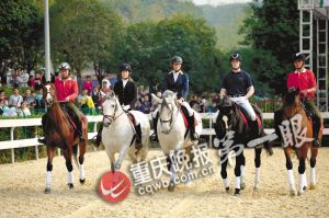重慶馬術(shù)隊(duì)將落戶巴濱路馬術(shù)中心 可免費(fèi)看千萬(wàn)元純種馬表演