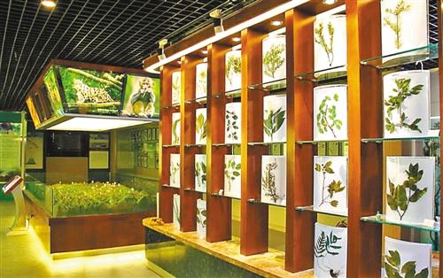 重慶建首個(gè)自然保護(hù)區(qū)陳列館 成微縮版生物寶庫(kù)