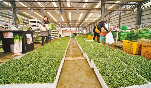 雙福農(nóng)貿(mào)城 50萬噸農(nóng)產(chǎn)品保“雙節(jié)”供應(yīng)