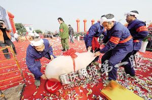 新年將至 活土豬一頭跌了幾百元 今年你去殺年豬嗎？