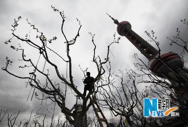 世博會(huì)：6000多萬(wàn)盆鮮花裝點(diǎn)申城
