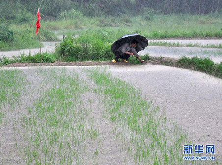 三問旱澇急轉(zhuǎn) 氣象專家解析長江中下游天氣形勢