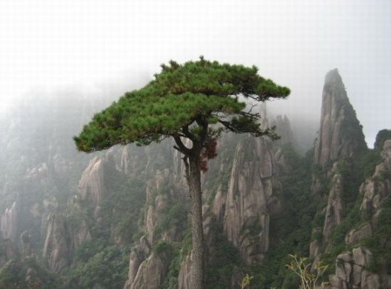 感受自然好去處 盤點(diǎn)省內(nèi)最誘人的天然氧吧