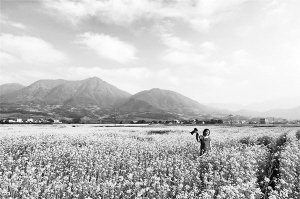 今年6個(gè)旅游同城化項(xiàng)目穩(wěn)步推進(jìn) 一張卡游遍廈漳泉
