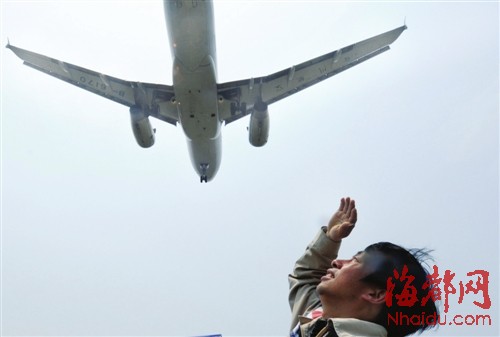 福州機(jī)場(chǎng)驅(qū)鳥(niǎo)人：鳥(niǎo)兒是對(duì)手，更是朋友