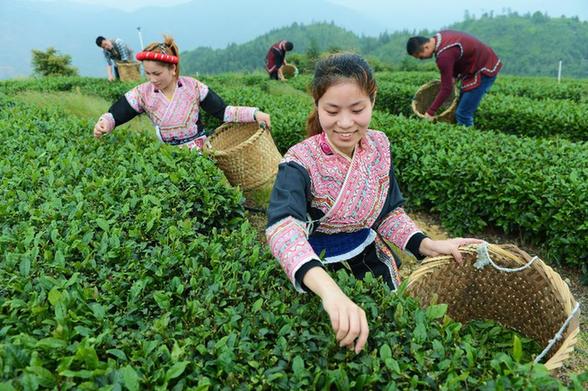 福州：治理畜養(yǎng)污染 發(fā)展生態(tài)農業(yè)