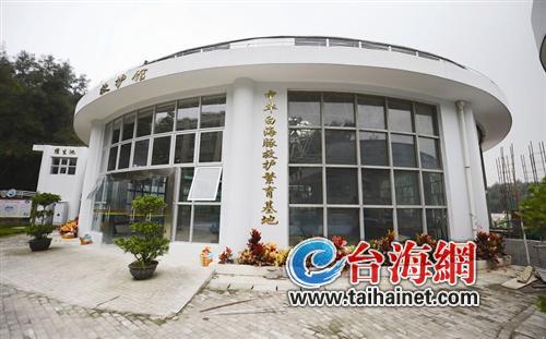 廈門(mén)獲準(zhǔn)人工繁育白海豚 預(yù)計(jì)投入將超過(guò)1000萬(wàn)元