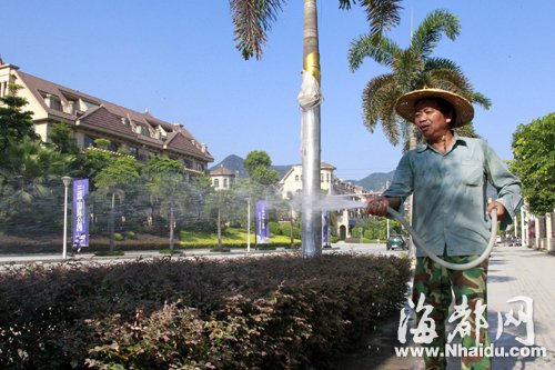 福州市民響應(yīng)“一桶水”行動(dòng) 千人接力護(hù)綠