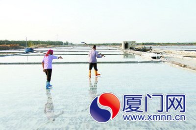 廈門大嶝鹽場(chǎng)昨關(guān)閉 曾是廈門唯一定點(diǎn)食鹽鹽場(chǎng)