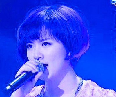 廈門理工學(xué)院美女臺(tái)灣星光大道奪冠(圖)