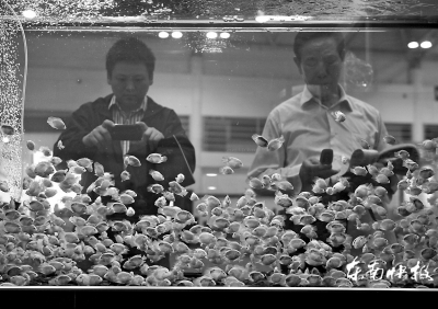 漁博會昨落幕簽約金額150多億元 逛展人數(shù)達(dá)30萬人次