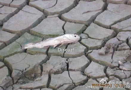 長(zhǎng)樂(lè)三溪水庫(kù)水位創(chuàng)20年來(lái)新低 5萬(wàn)多村民用水難