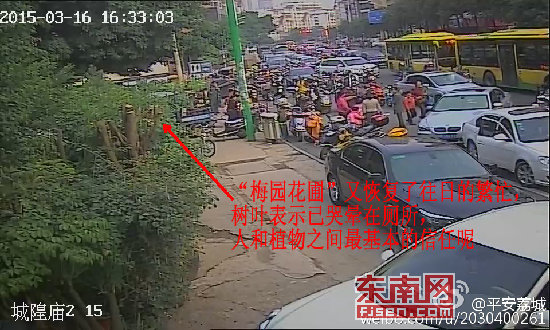 莆田瘋傳的“聞樹(shù)葉遭麻醉兒童被拐”事件被證系謠傳