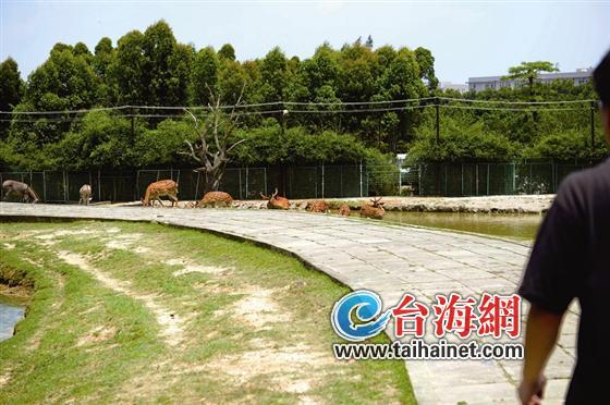 欠租金滯納金上千萬(wàn)元 海滄動(dòng)物園被判半年內(nèi)搬遷