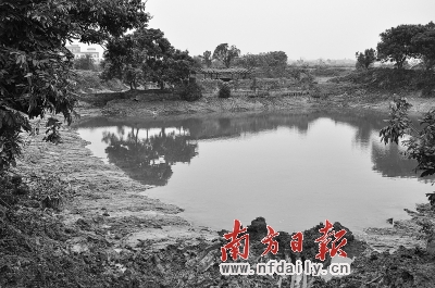 非法磚廠蠶食農(nóng)田十余年 國土局稱沒舉報(bào)不知情