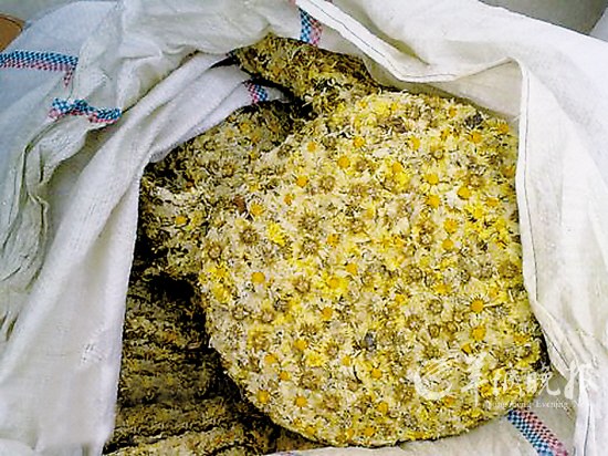 廣州查處涉嫌打磺菊花 業(yè)內(nèi)稱九成中藥存濫用硫磺