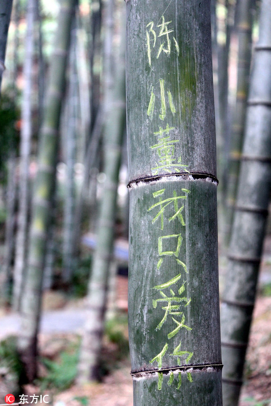廣東連山推出“刻字林”讓游客愛刻就刻