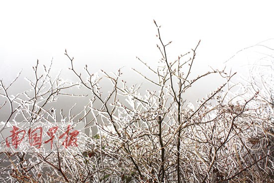 2015年第一場冷空氣影響廣西 南寧局地降溫達9℃