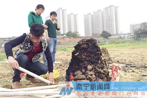 廣西大學(xué)實(shí)驗(yàn)基地變燒烤場 一塊地里紅薯窯超30個(gè)