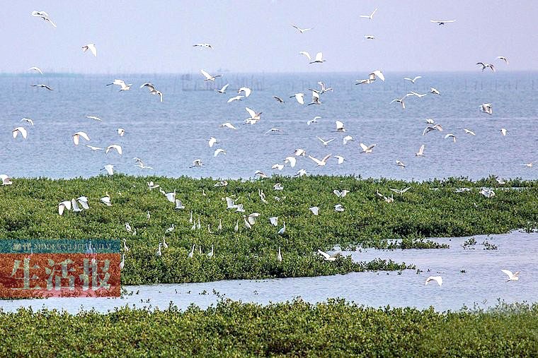 廣西13個(gè)國(guó)家濕地公園 原始生態(tài)風(fēng)光值得欣賞