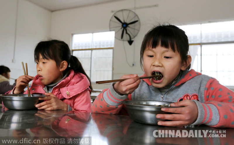 廣西柳州市免費(fèi)午餐受益學(xué)生超過18萬(wàn)人