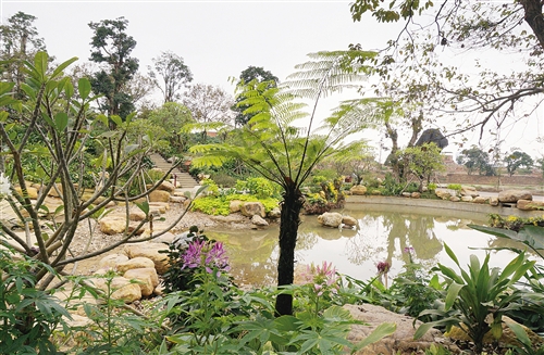 南寧積極打造宜游城市 青秀山等景區(qū)上榜“十佳”