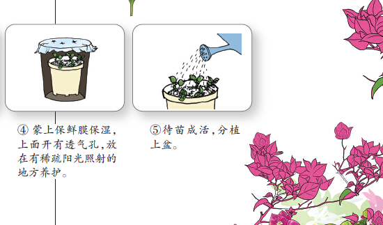 樹木認(rèn)捐認(rèn)養(yǎng)遭到冷遇 為南寧添綠需要您出一份力