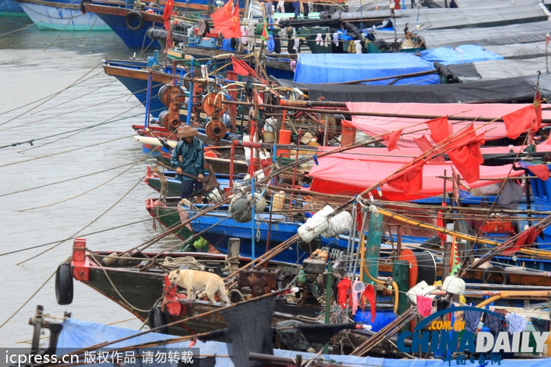 海南防風(fēng)響應(yīng)升至III級(jí) 臺(tái)風(fēng)“百合”致2萬余漁船回港避風(fēng)