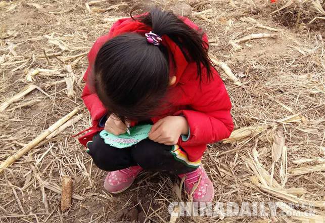 3.12植樹節(jié)環(huán)保親子游 為愛添綠共筑美麗家園